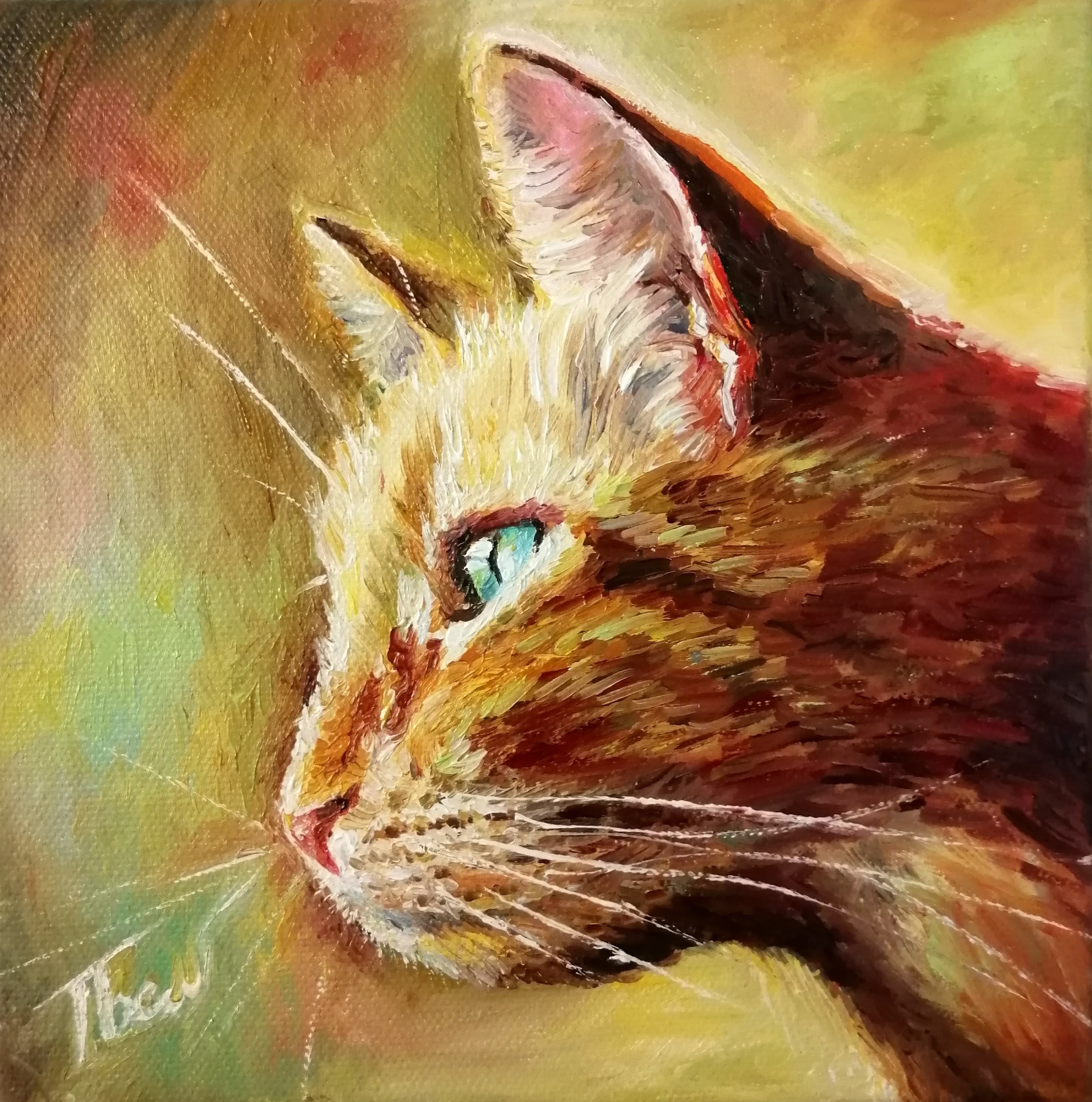 Рыжий кот
